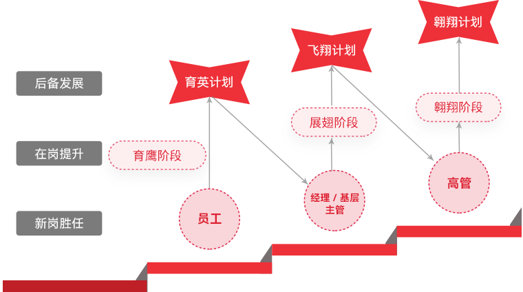 利亞德 "雄鷹計劃"人才梯隊培養