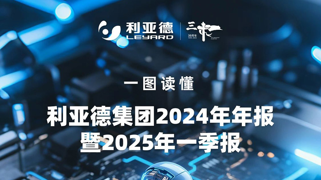 利亞德集團(tuán)2024年年報暨2025年一季報解讀