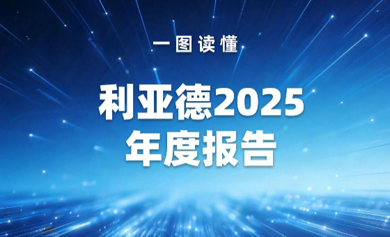 一圖讀懂 | 利亞德2025年度報告